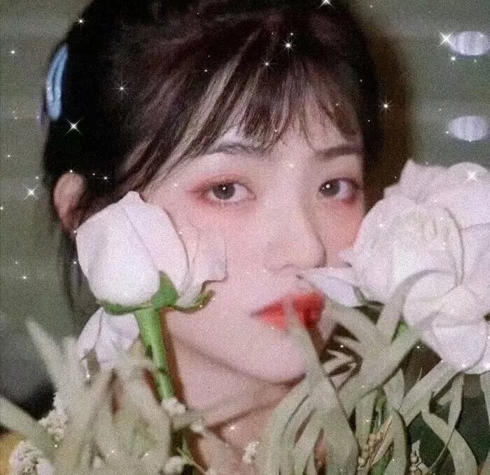 尼斯警花